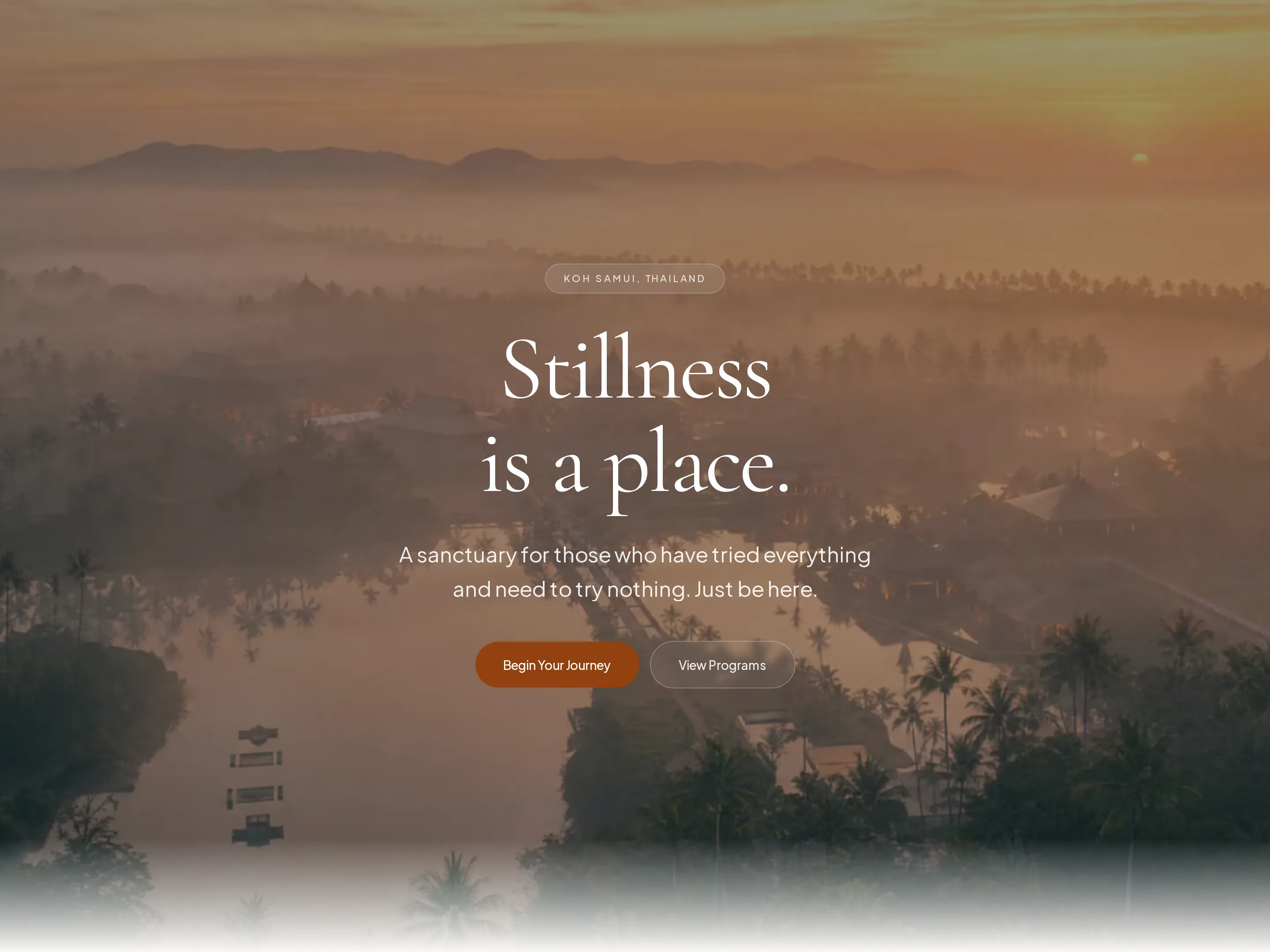 Sila website preview